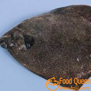 flounder