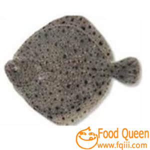 Turbot