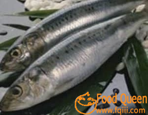 Capelin