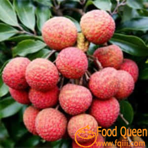 litchi