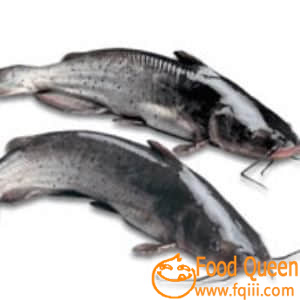 Wujiang fish