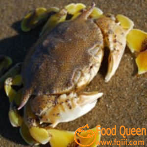 Sea crab